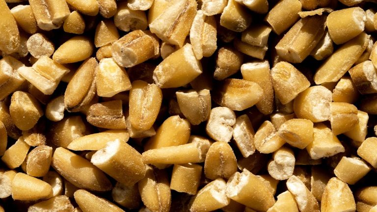 Acne diet low-glycemic food: steel-cut oats close-up