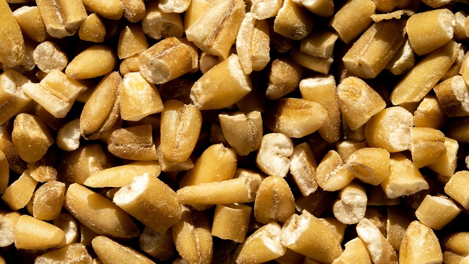 Acne diet low-glycemic food: steel-cut oats close-up
