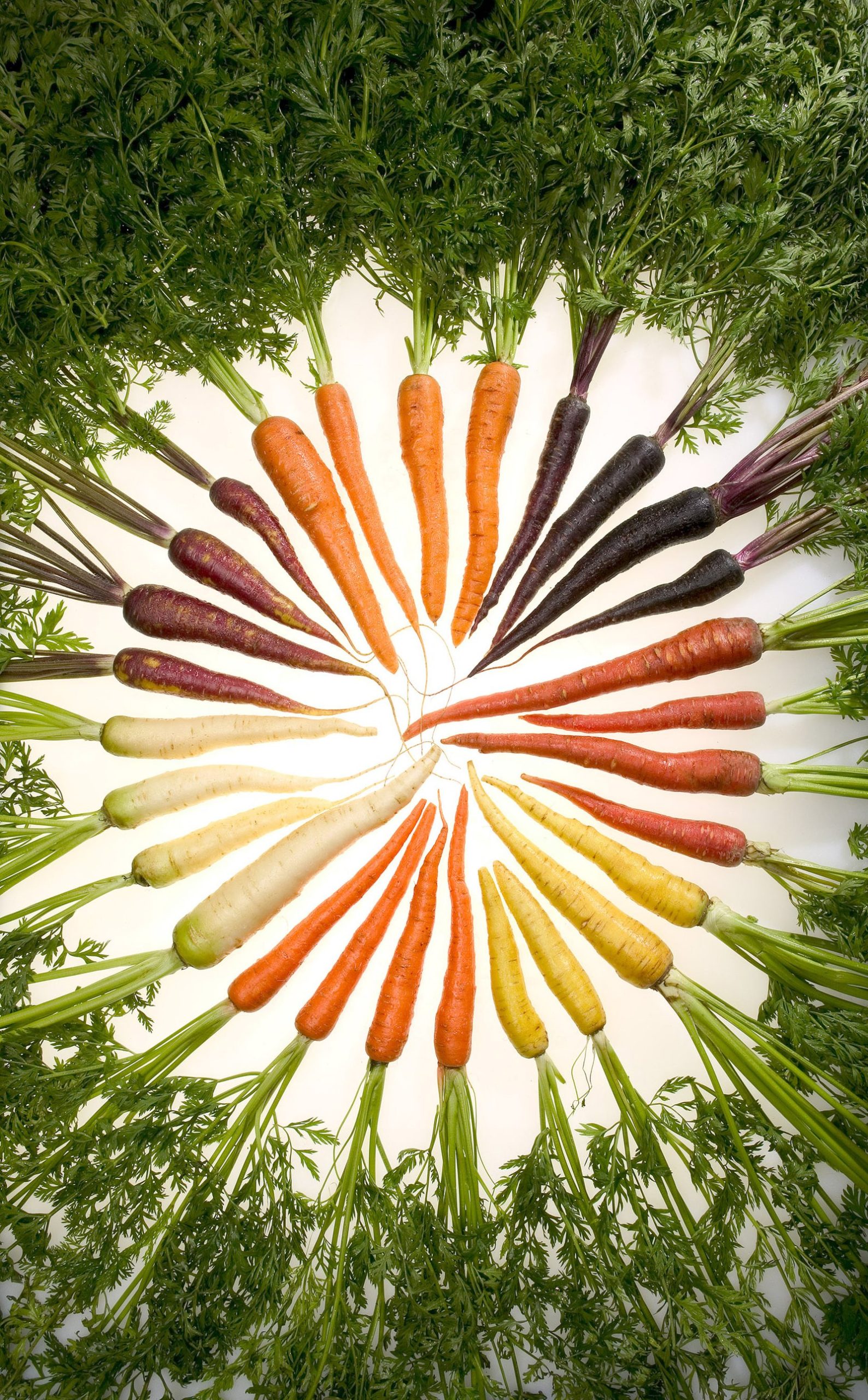 Colorful carrots, a vitamin A–containing vegetable noted by NEI