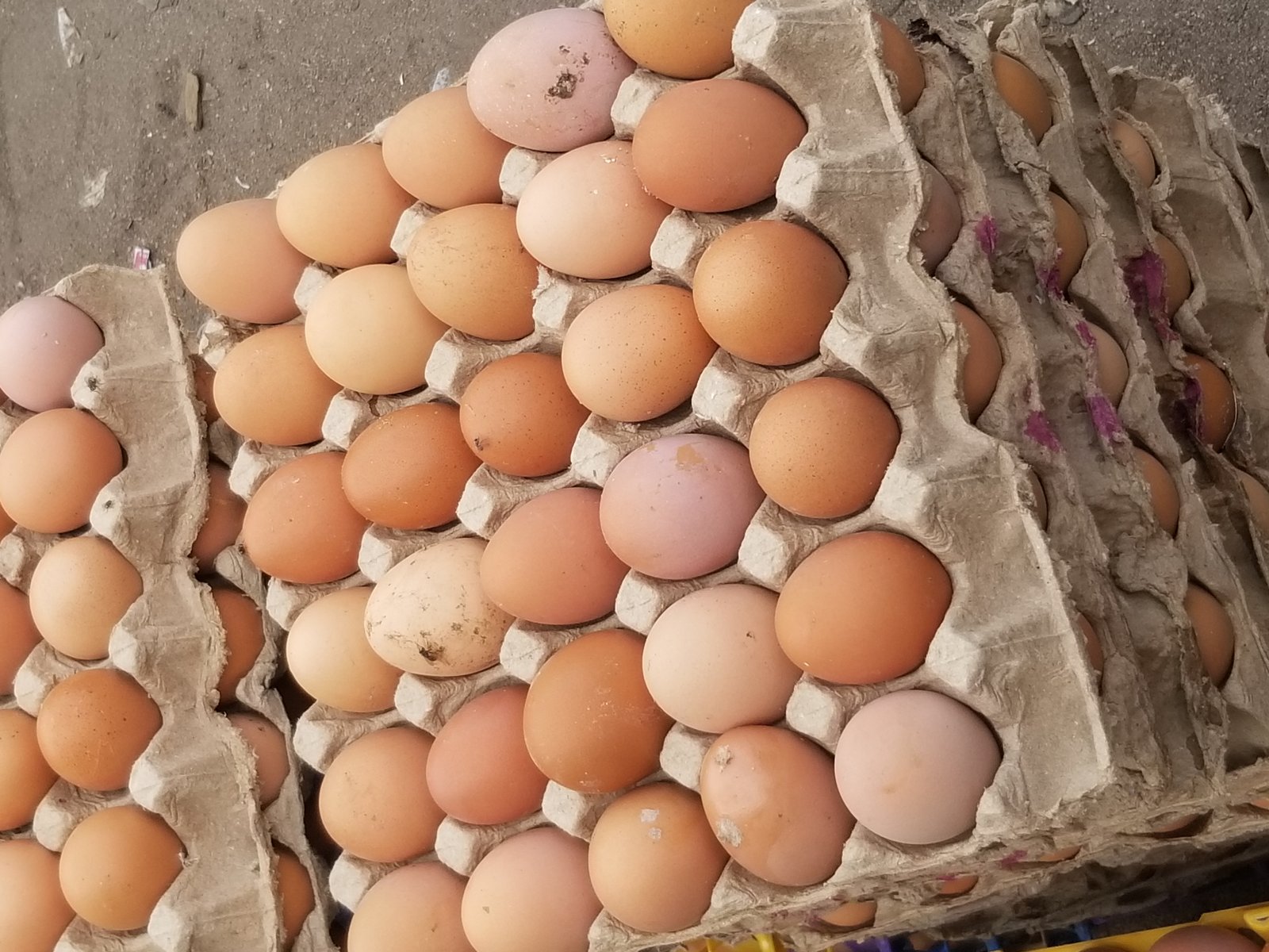 Hen eggs, a common food allergen to discuss with a doctor on an eczema diet