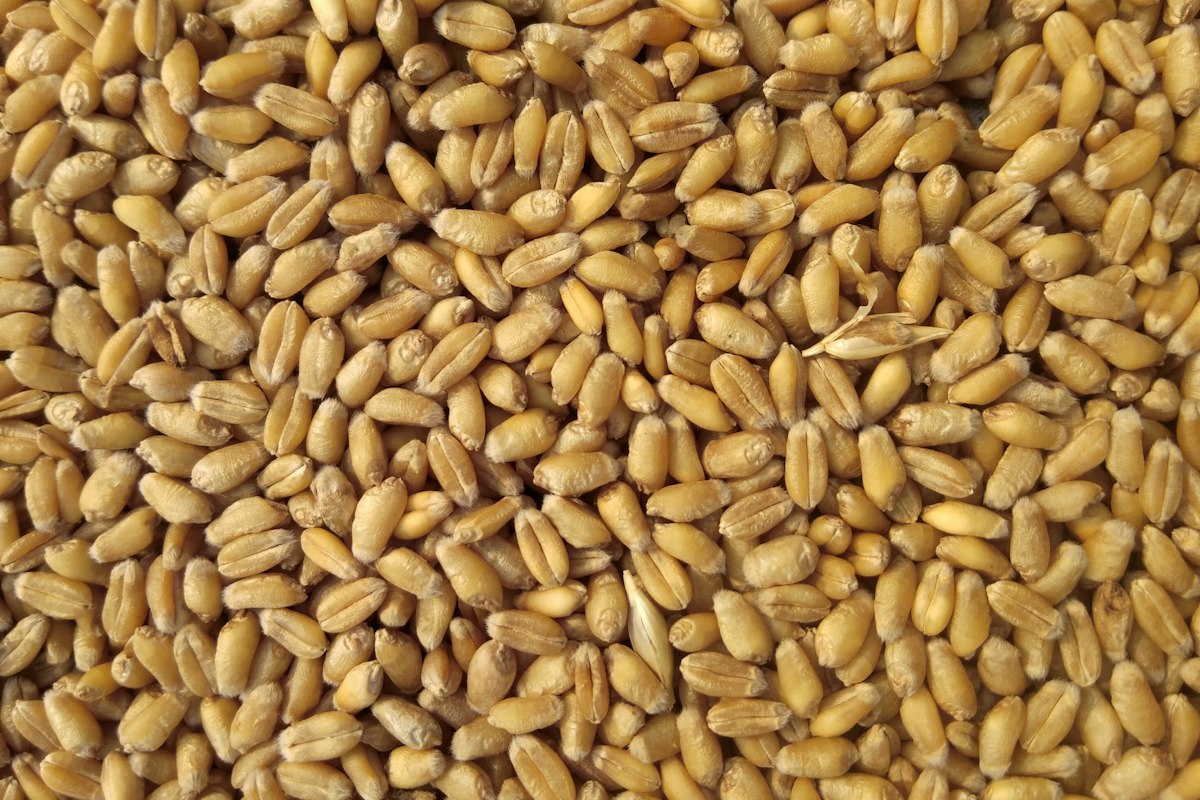 Oatmeal and fiber-rich breakfast — gradual fiber often recommended after diverticulitis recovery
