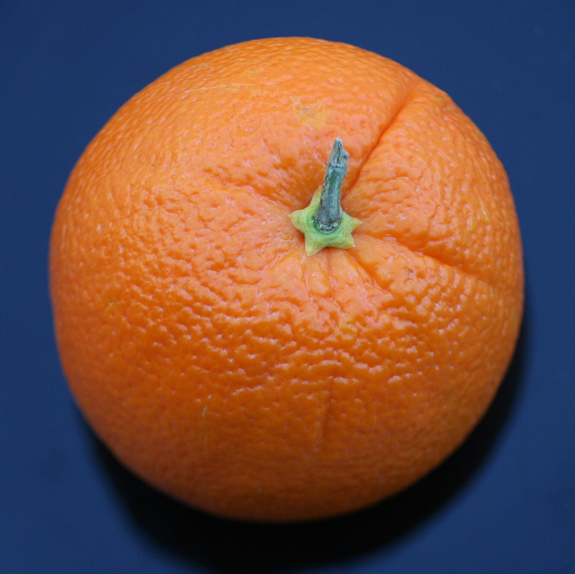 Fresh oranges — gentle fruit when appetite returns after fever