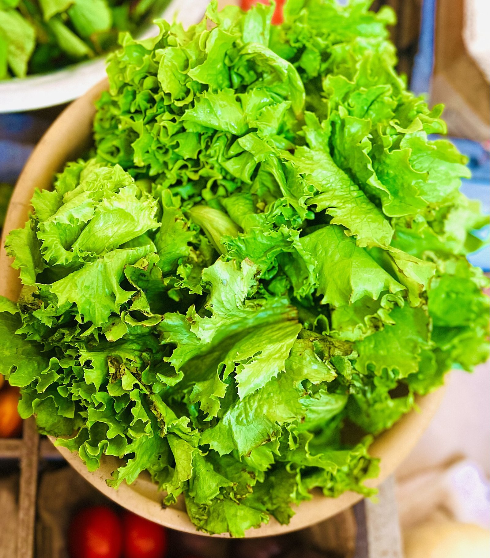 Leafy green salad plate supporting everyday calcium-aware eating with giant cell arteritis