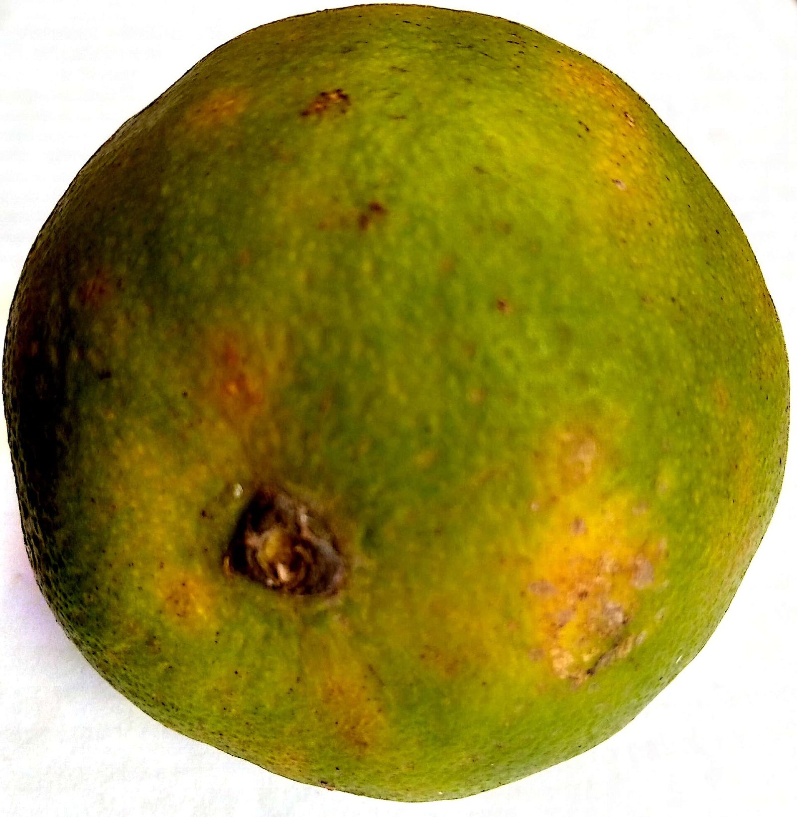 Fresh orange as a food-first vitamin C source during CVI meal planning