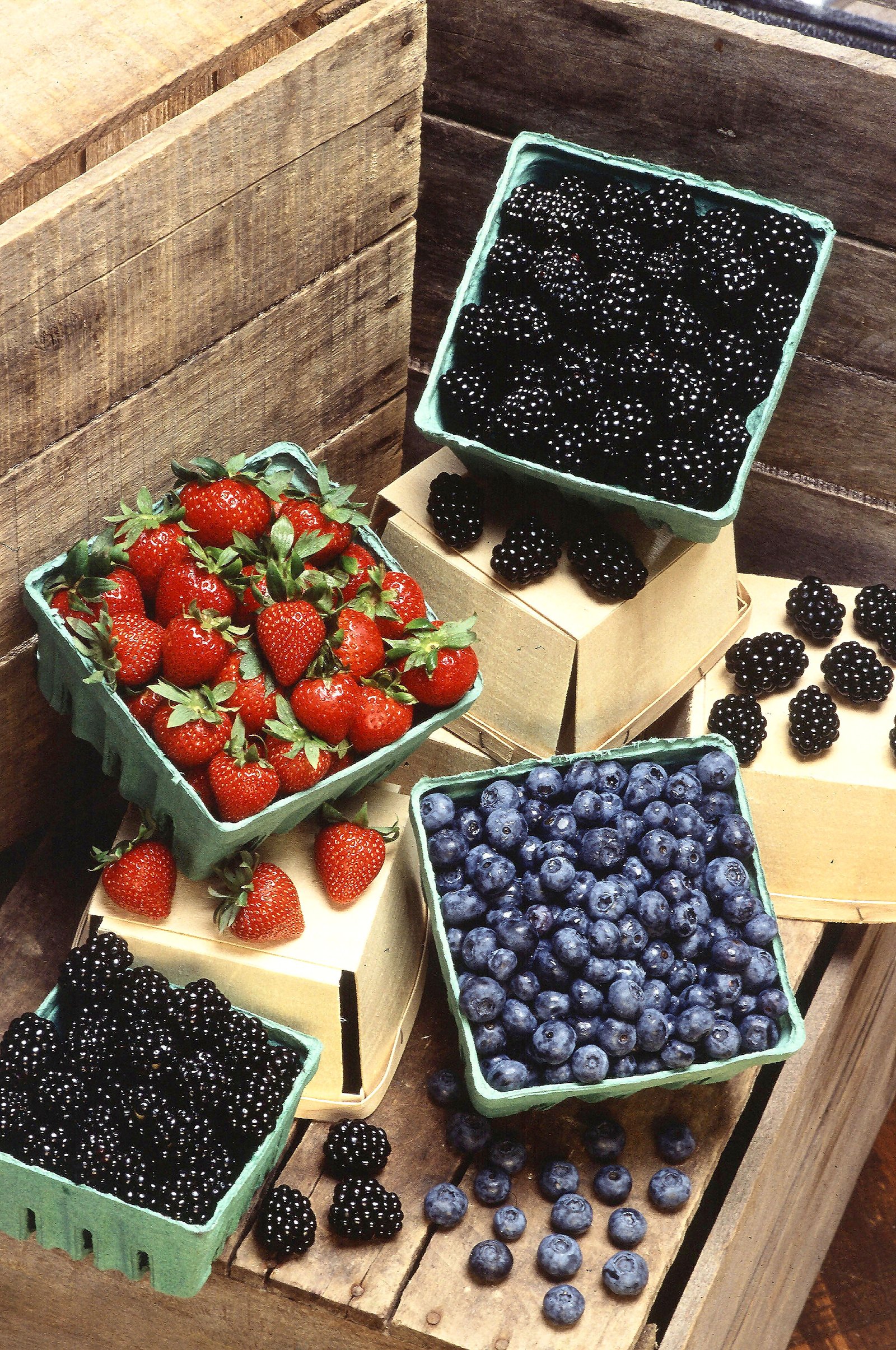 Fresh strawberries blackberries and blueberries as colorful fruit with leafy-green meals