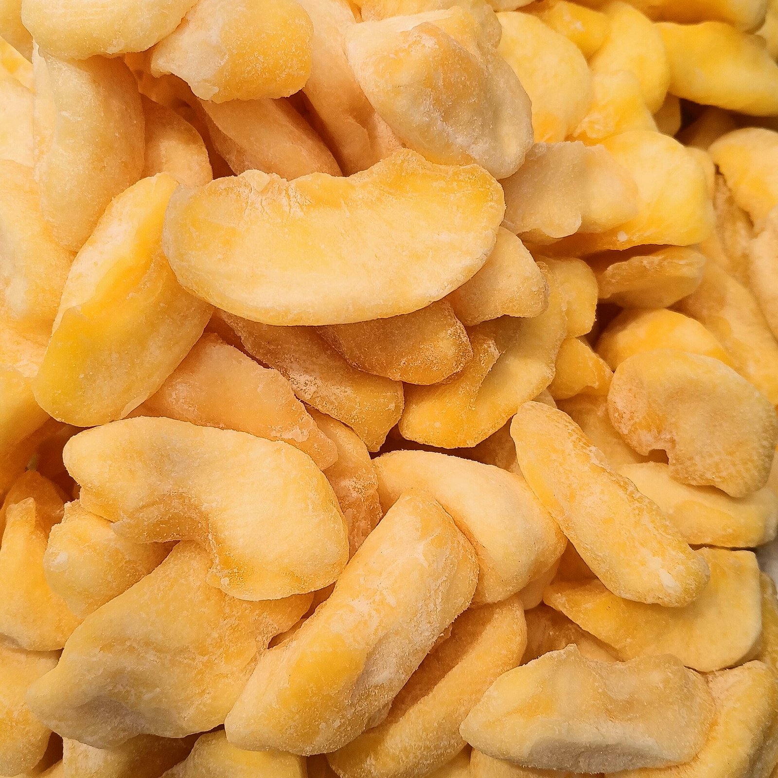 Dried apple slices as an example fruit topic often discussed in potassium planning with a renal dietitian