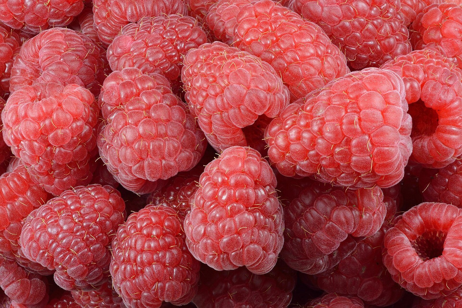 Raspberries illustrating fruit fiber often still allowed with diverticulosis