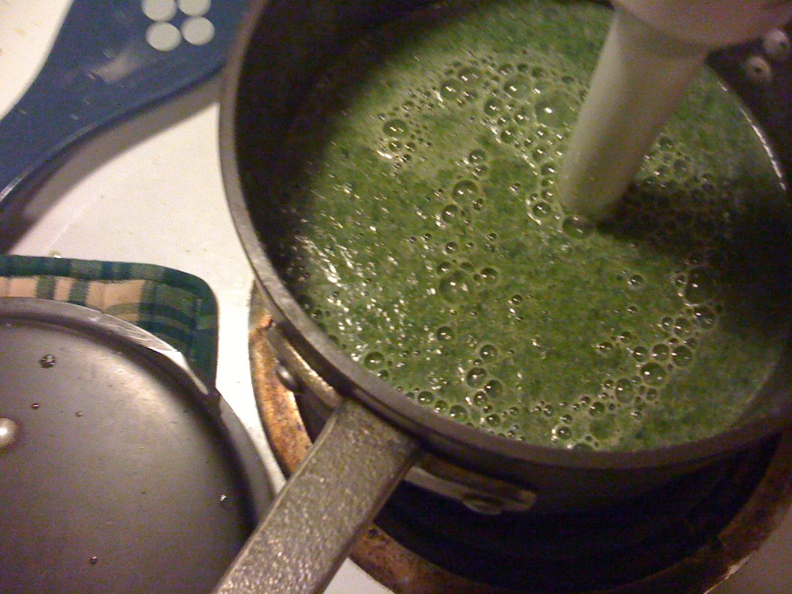 Cream of spinach soup prepared to a smoother consistency