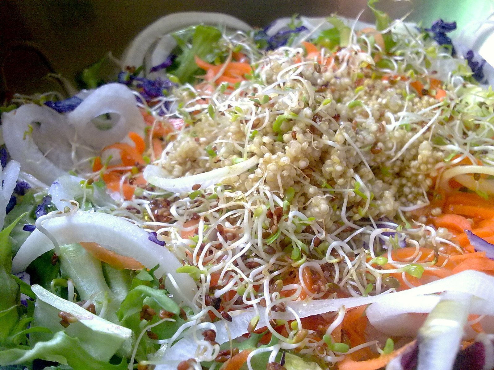 Quinoa vegetable salad for an easy plant-forward lunch