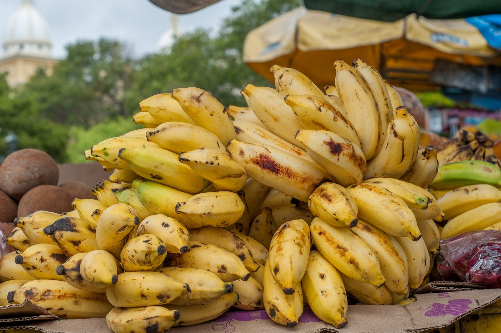 Ripe bananas, a soft fruit often suggested for an ulcerative colitis diet during flares